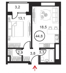 Однокомнатный апартамент 44.8 м²